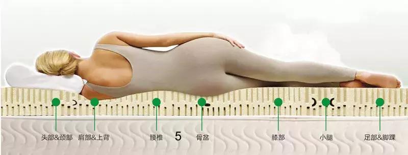 几百块钱的泰国天然乳胶是真的吗,泰国天然乳胶正品贵吗