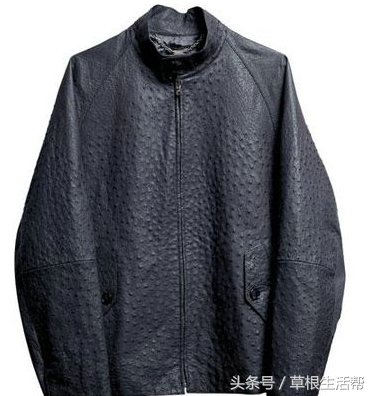 养殖“大笨鸟”，敲开致富门，80后回老家创业成为新一代农场主