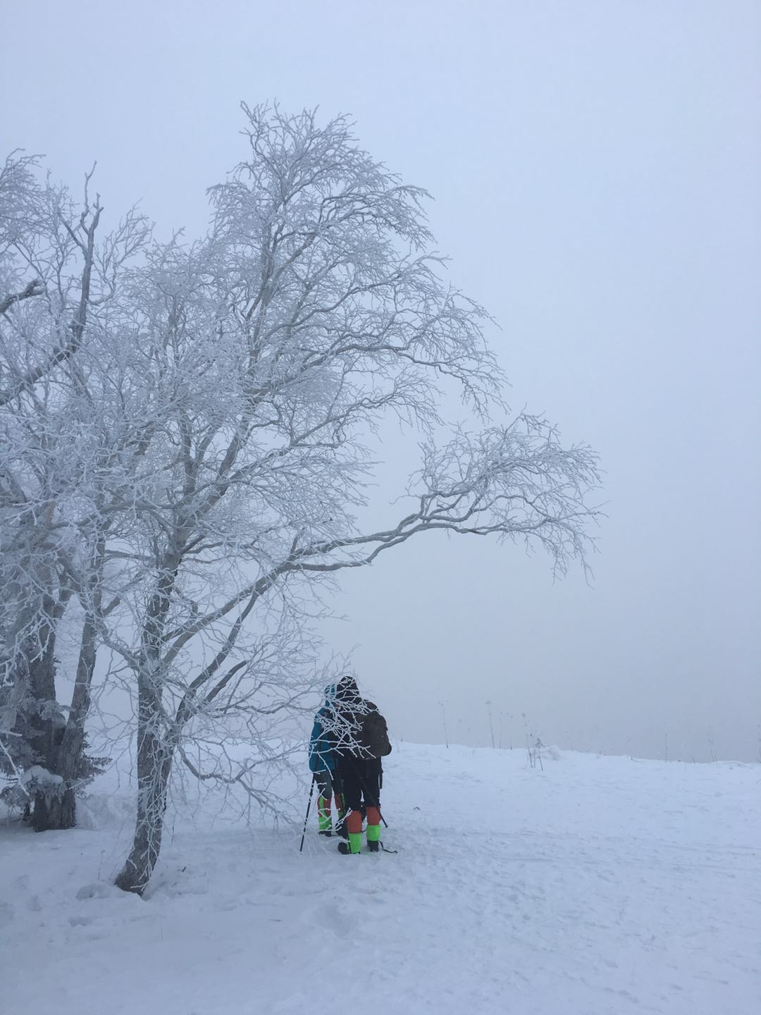 辽宁朝阳凤凰山传说,大凤凰山在哪里