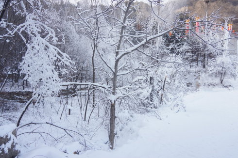 中原区有雪吗,中原雪乡在哪里