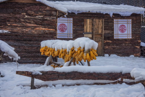 中原区有雪吗,中原雪乡在哪里