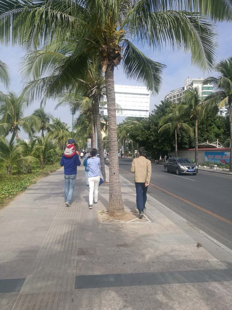 小孙子生活记录,带5岁儿子去海岛旅游的文章