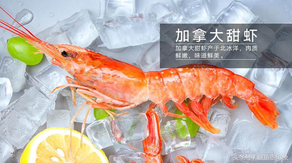 为什么海鲜礼盒那么便宜,海鲜市场海鲜礼盒