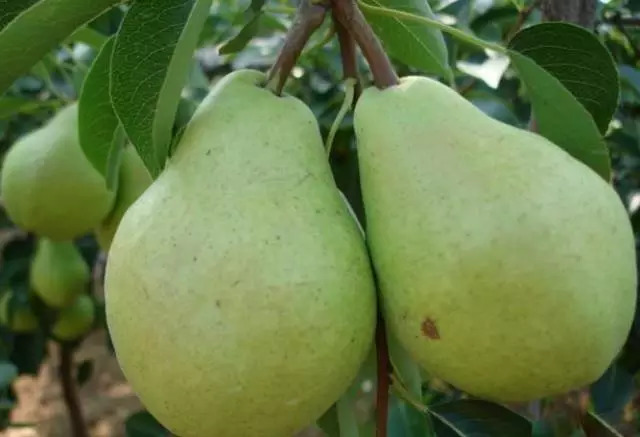 来威海应该说什么,来威海哪里购物