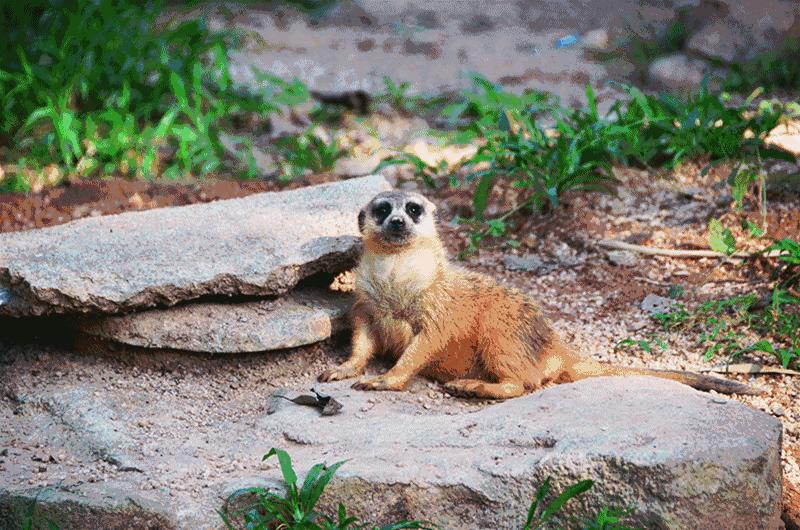深圳游玩攻略一日游推荐,深圳一日游旅游攻略景点推荐