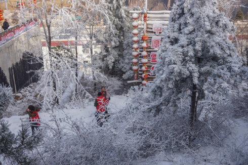 中原区有雪吗,中原雪乡在哪里