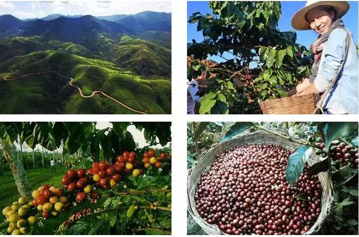 简单的咖啡饮品自己在家就能做咯,自制咖啡饮品简单又好喝教程