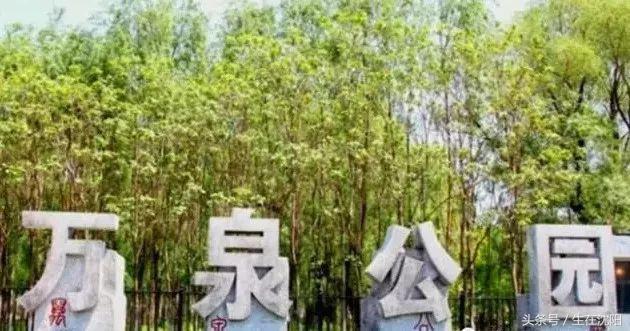 老沈阳，咱们聊聊大东区的“故事”，先从八王寺汽水、105雪糕说