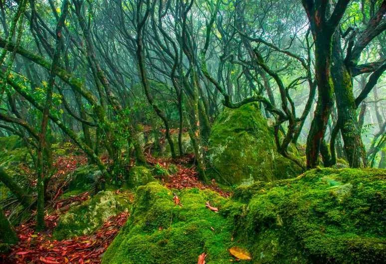 2019浙江旅行时间表,12月浙江最美旅行地排行