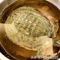 红烧甲鱼家常做法简单又好吃视频,甲鱼可以和什么菜一起红烧最好吃