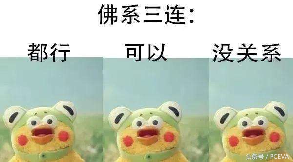 现在的固态硬盘是什么样子的,最新的固态硬盘是什么样的