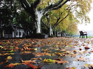 注定就是错误的相遇,有些错误注定是不可被原谅的