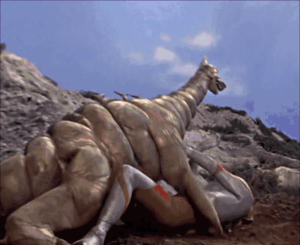 摔跤动漫有什么,好看的摔跤动漫