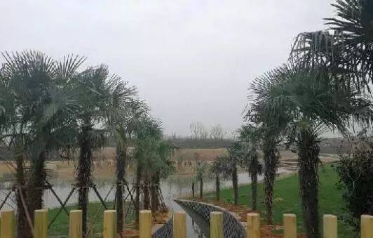 南昌最近的大变化有什么,南昌最近变化