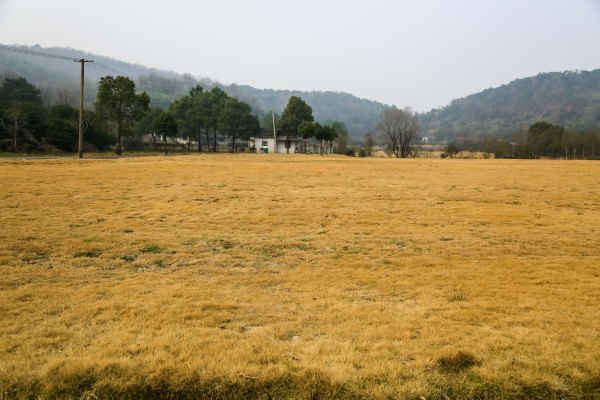 只有一亩地的农场,草莓种植基地采摘园