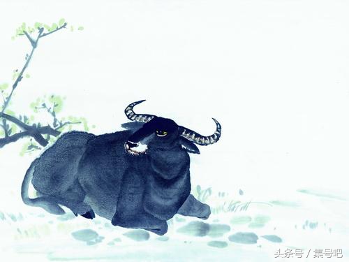 十二生肖2018年运势大全,2018年十二生肖整体运势如何呢