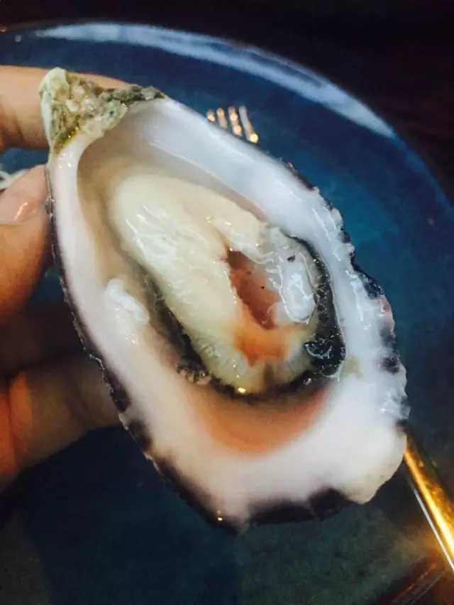 需要我来教你吗英文,你愿意请我吃生蚝吗