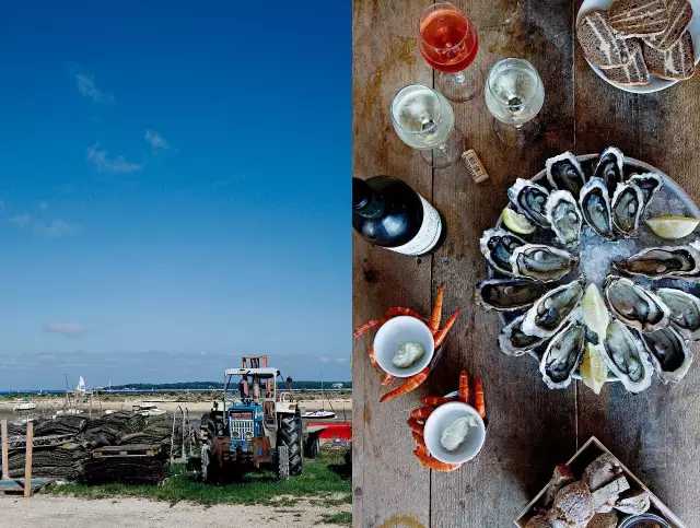 需要我来教你吗英文,你愿意请我吃生蚝吗