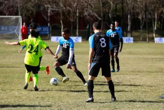 “足球竞技，相拥绿岛”——法国里昂大学代表团访问沈阳城市学院！