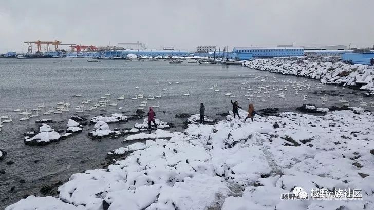 固特异御乘suv2代耐磨指数,固特异御乘suv轿车可以用吗