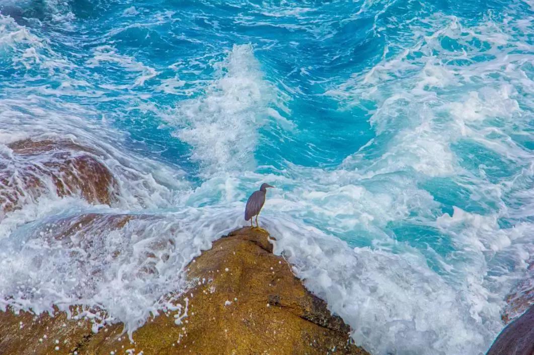 这里是中国的“情人岛”，比巴厘岛浪漫，比塞班岛热情