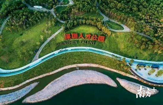 深圳新好玩的免费景点,深圳新出好玩的地方