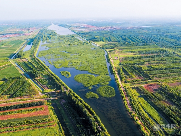 滨州水利工程最新消息,2019滨州水利攻坚