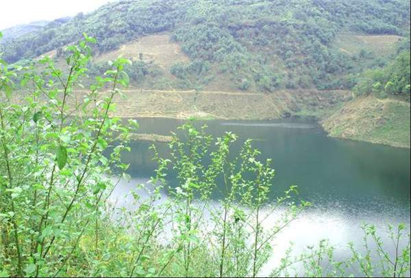 勐傣茶厂价格,勐傣茶厂在哪里