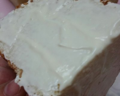 奶酪包,奶酪包与猫