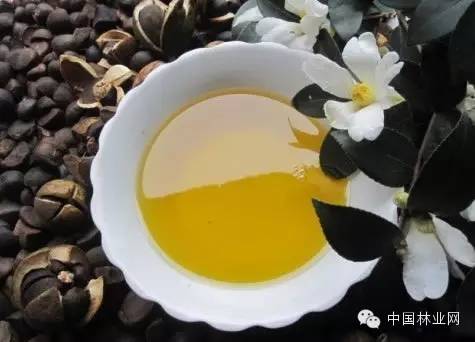 野生茶油的功效和食用方法,农村茶油功效与作用