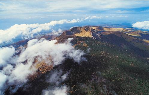 济州岛一个人旅行攻略,济州岛四月攻略