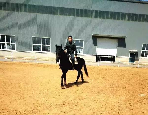 沈阳草原骑马去哪个地方好,离沈阳最近的草原骑马自驾游