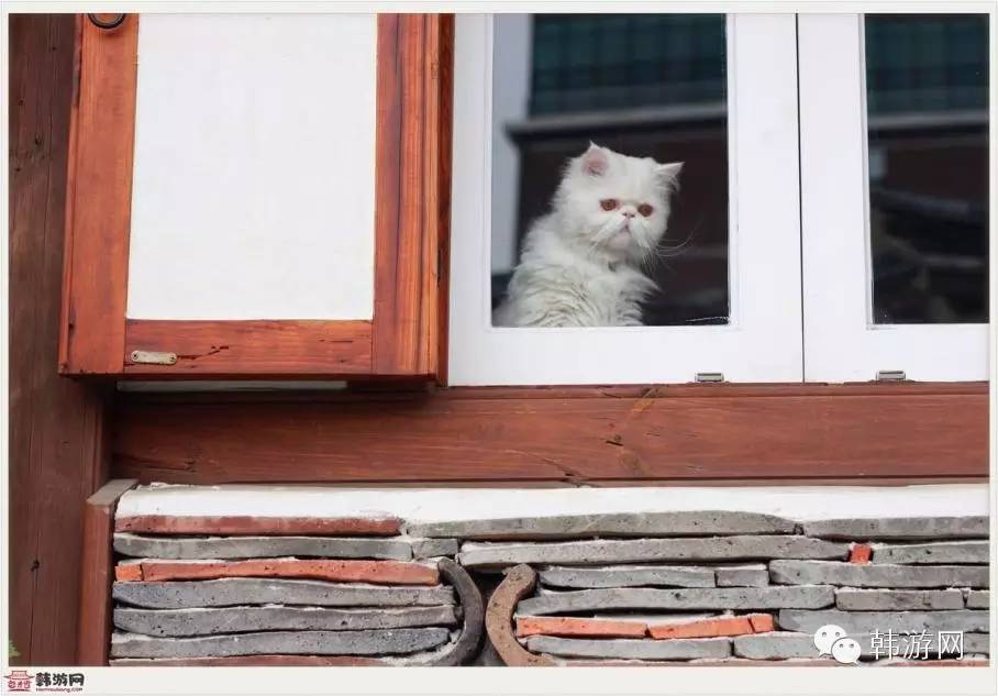 首尔一个人旅行,一个人去首尔旅行