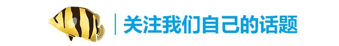 虎鱼心得,虎鱼的养殖方法和注意事项视频