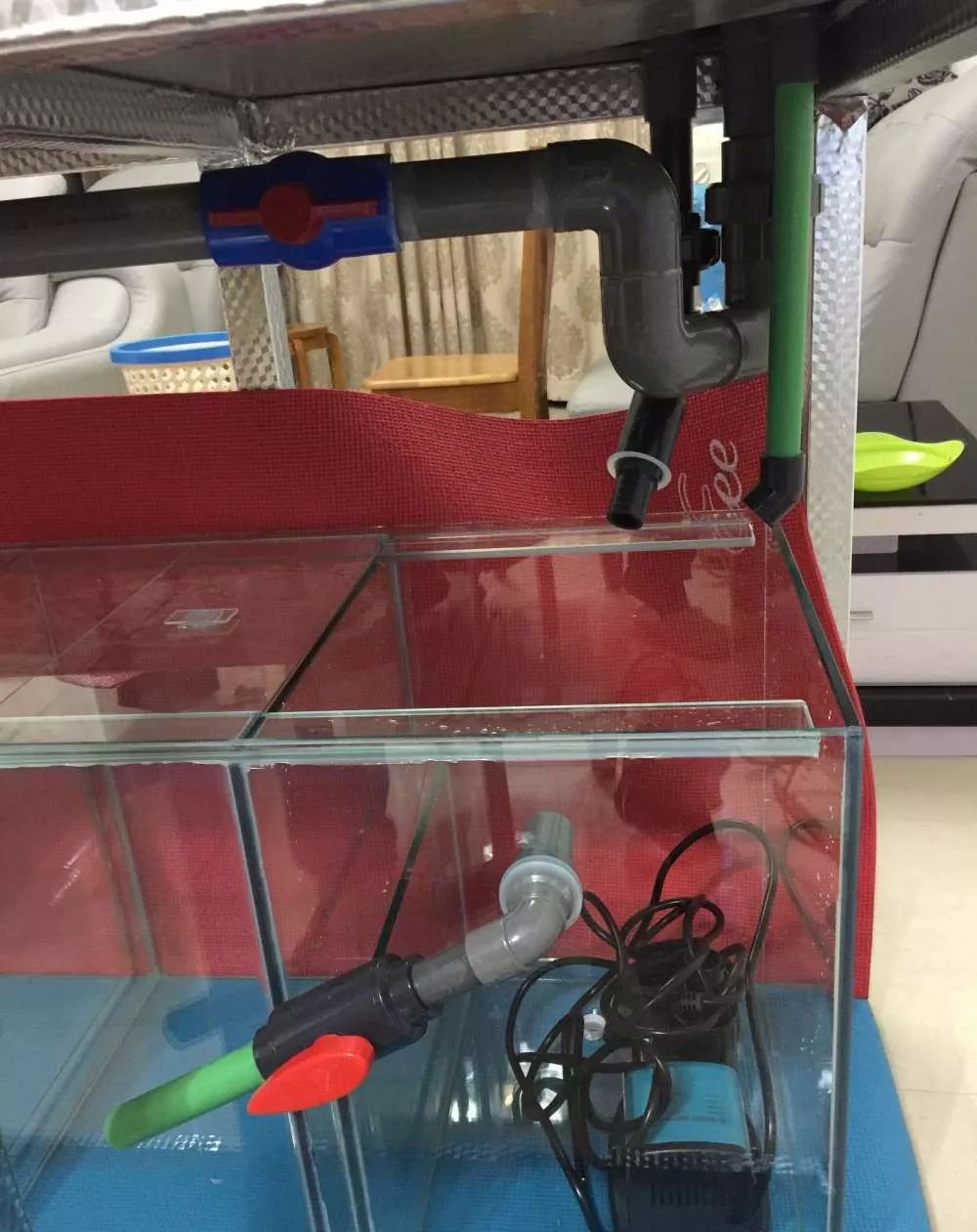 历时4个月，亲手做的缸终于运行！