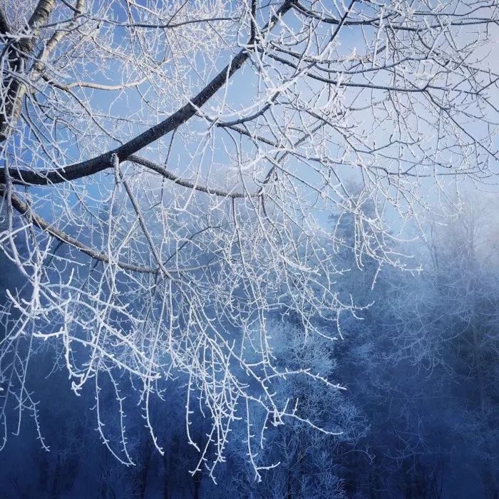 恋与制作人伴你身边,恋与制作人在你身边选谁比较好