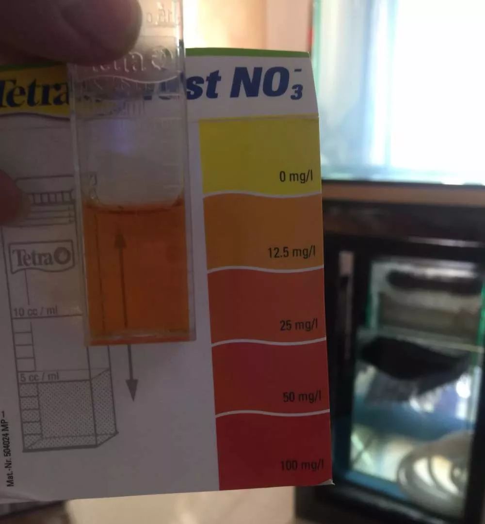 历时4个月，亲手做的缸终于运行！