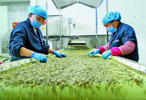 内蒙古日报头条重要内容是什么,内蒙古最新日报消息