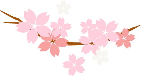 2021债券基金收益排名前十名,华商债券基金