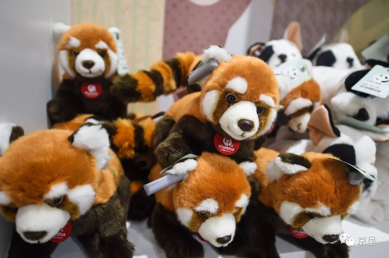 鹈鹕树懒食蚁兽？北京这家非主流玩偶店教你认认新萌物