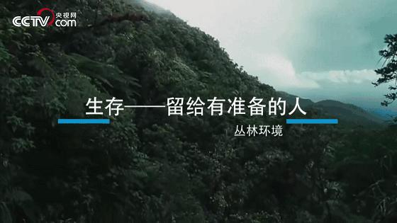 揭秘丛林战场，为什么很多军事行动都发生在丛林区？