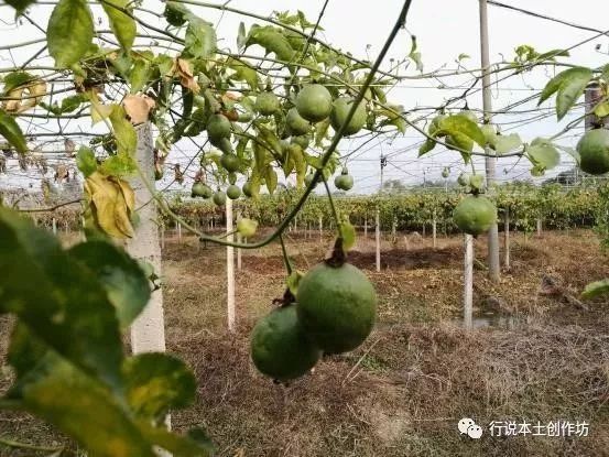 清远大山自然美景,清远的大山风景优美句子
