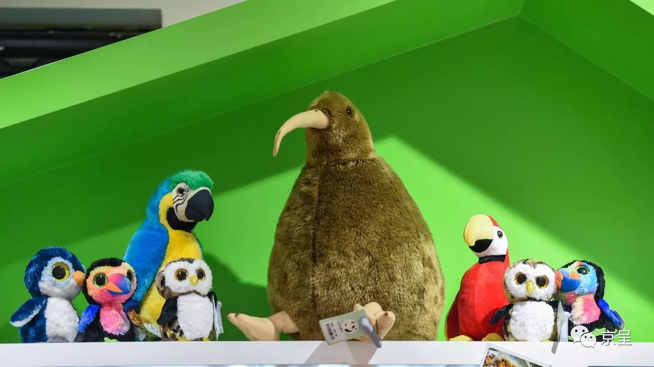 鹈鹕树懒食蚁兽？北京这家非主流玩偶店教你认认新萌物