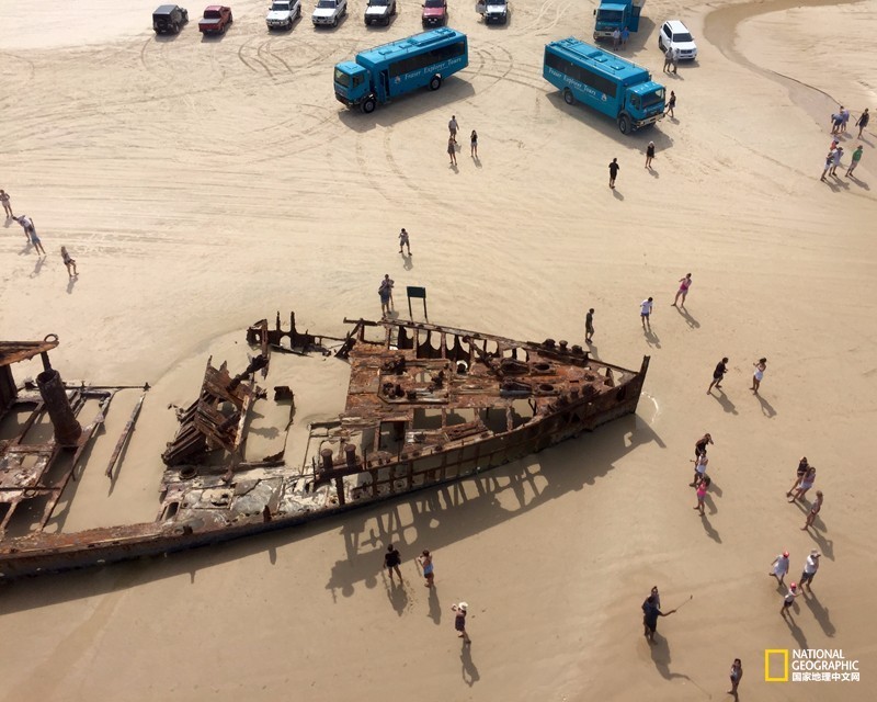 FraserIsland|快来全世界最大的沙岛上撒把野