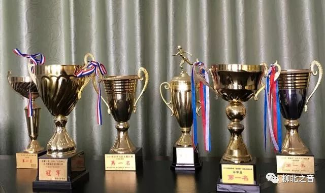 爱体育看体育赛,柳师附小运动会