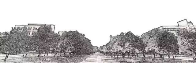 冬日美食记,冬日美食做法