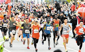 海口市海马,海南海口海马体验中心