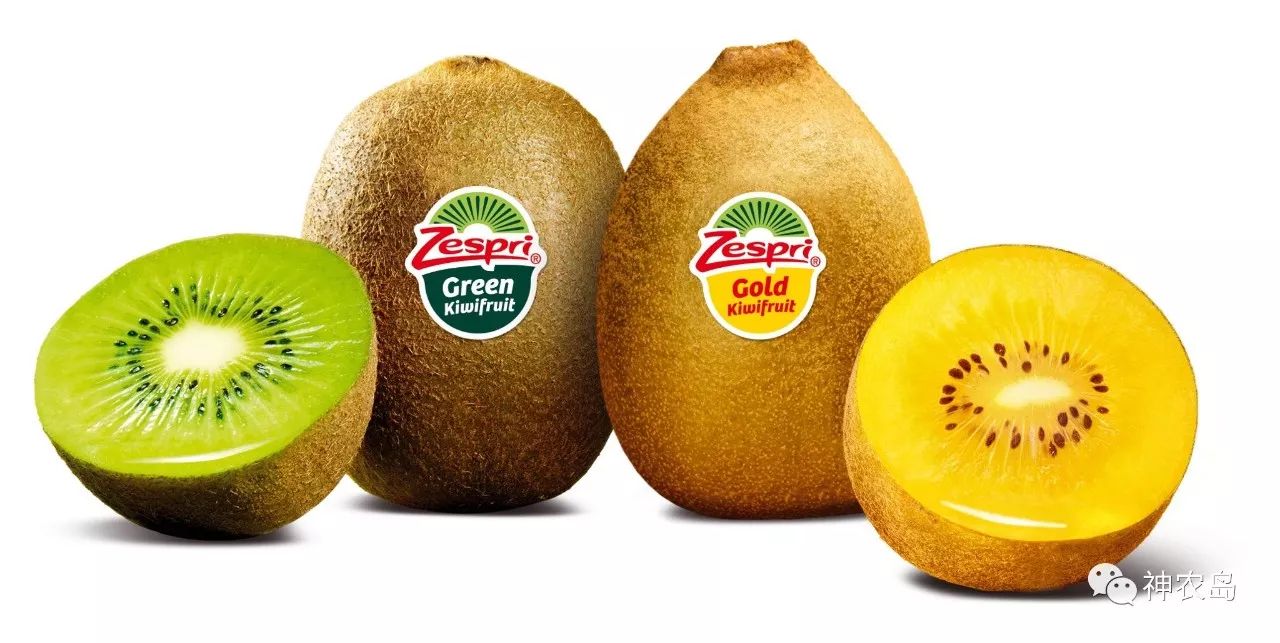 新西兰佳沛奇异果品牌打造,佳沛奇异果新西兰和意大利哪个好
