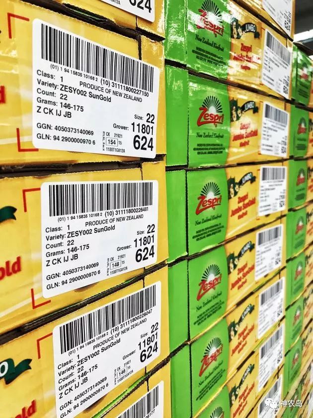 新西兰佳沛奇异果品牌打造,佳沛奇异果新西兰和意大利哪个好