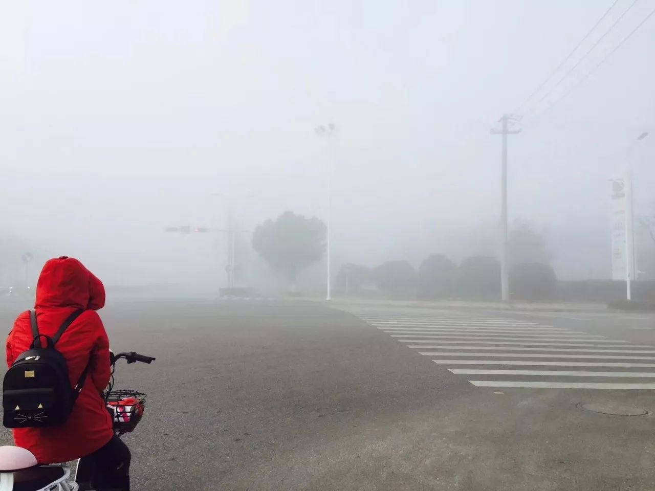 苏州今天有雾吗,苏州今天的风景